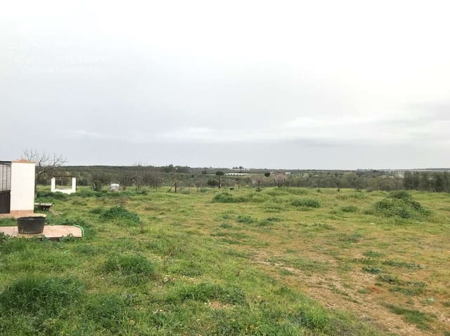 2 sypialnia Finka/Dom wiejski na sprzedaż w Almonte - 150 000 € (Ref: 9793851)