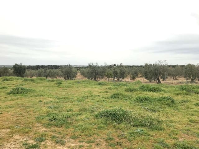 2 sypialnia Finka/Dom wiejski na sprzedaż w Almonte - 150 000 € (Ref: 9793851)