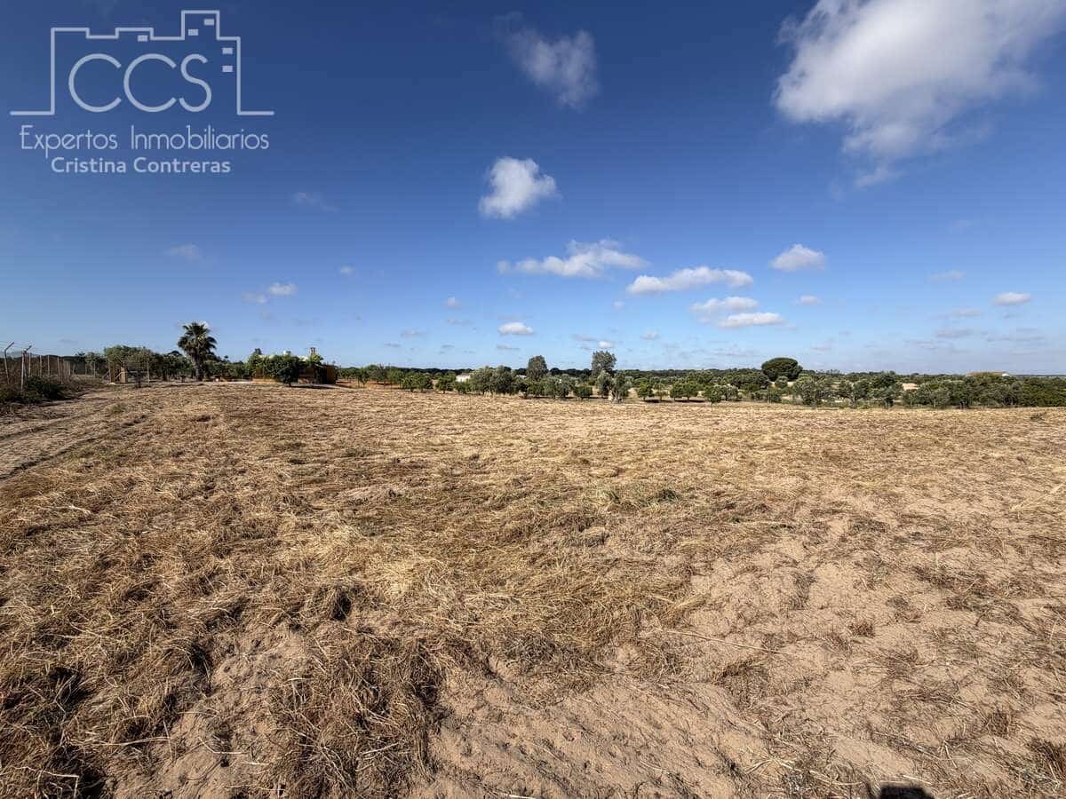 1 soverom Finca/Herregård til salgs i Almonte - € 180 000 (Ref: 9835059)