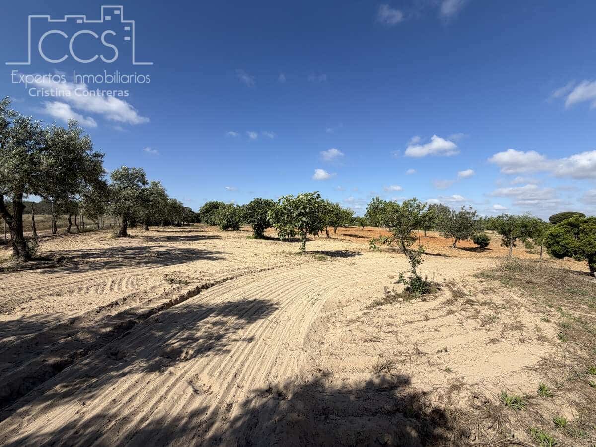 1 soverom Finca/Herregård til salgs i Almonte - € 180 000 (Ref: 9835059)