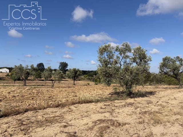 1 soverom Finca/Herregård til salgs i Almonte - € 180 000 (Ref: 9835059)