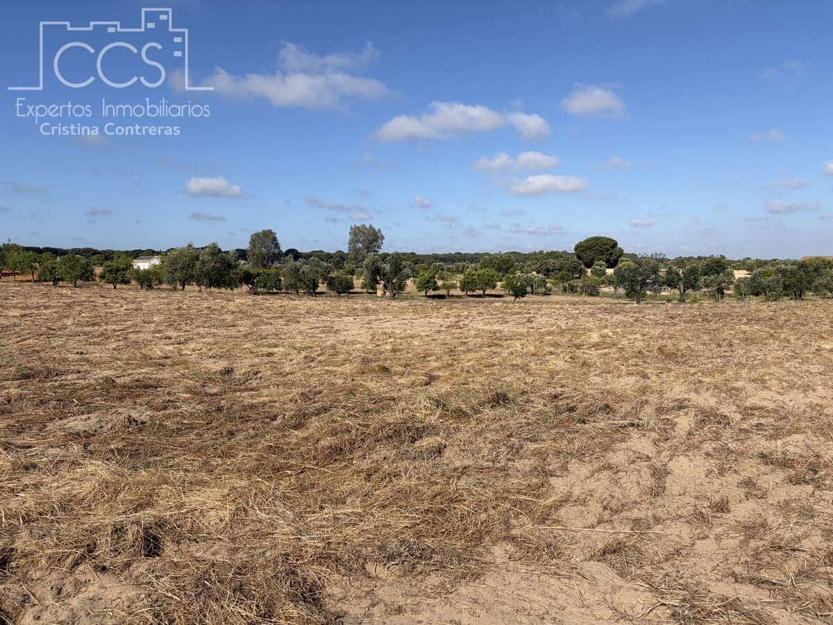 1 soverom Finca/Herregård til salgs i Almonte - € 180 000 (Ref: 9835059)