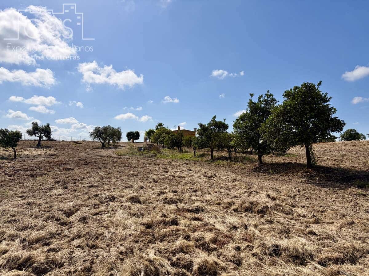 1 soverom Finca/Herregård til salgs i Almonte - € 180 000 (Ref: 9835059)