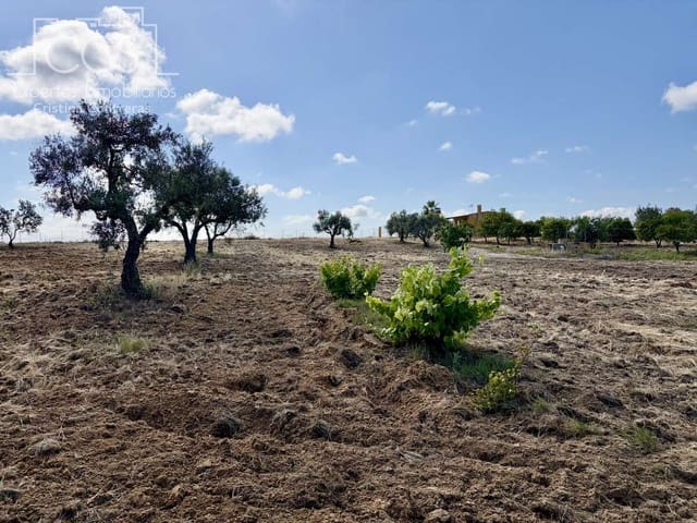 1 soverom Finca/Herregård til salgs i Almonte - € 180 000 (Ref: 9835059)