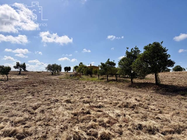 1 soverom Finca/Herregård til salgs i Almonte - € 180 000 (Ref: 9835059)