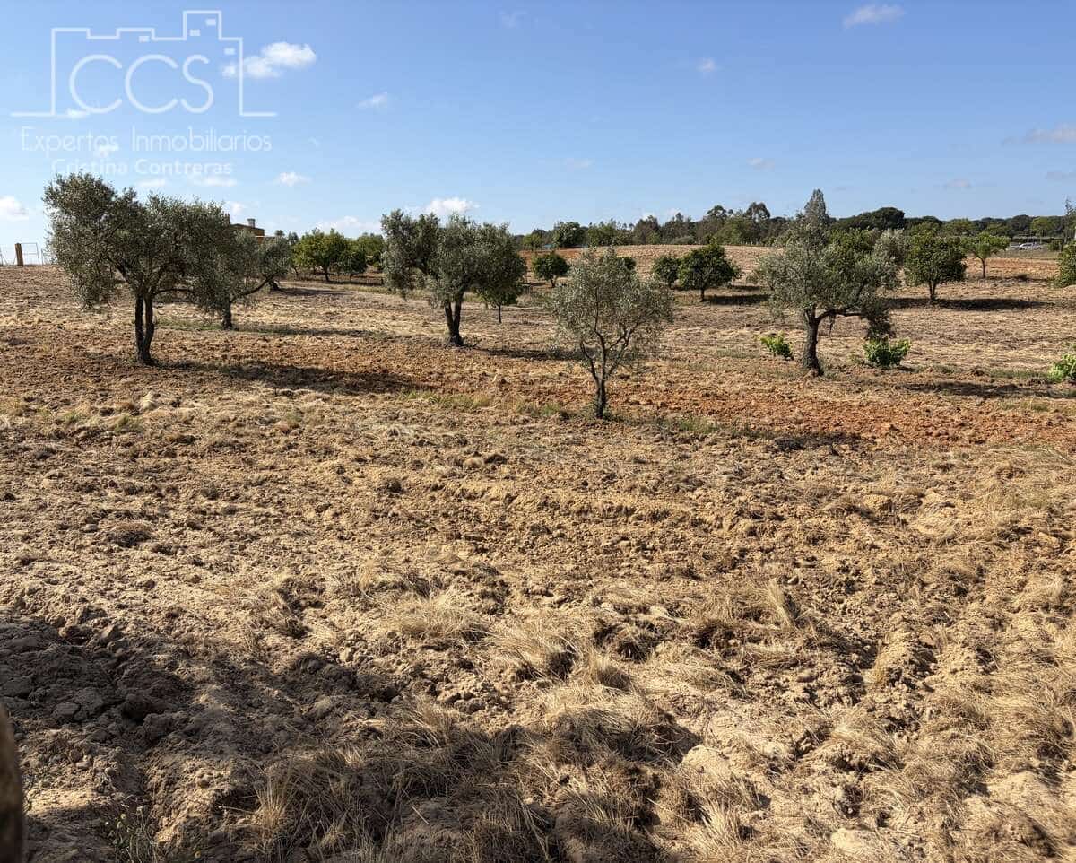 1 soverom Finca/Herregård til salgs i Almonte - € 180 000 (Ref: 9835059)