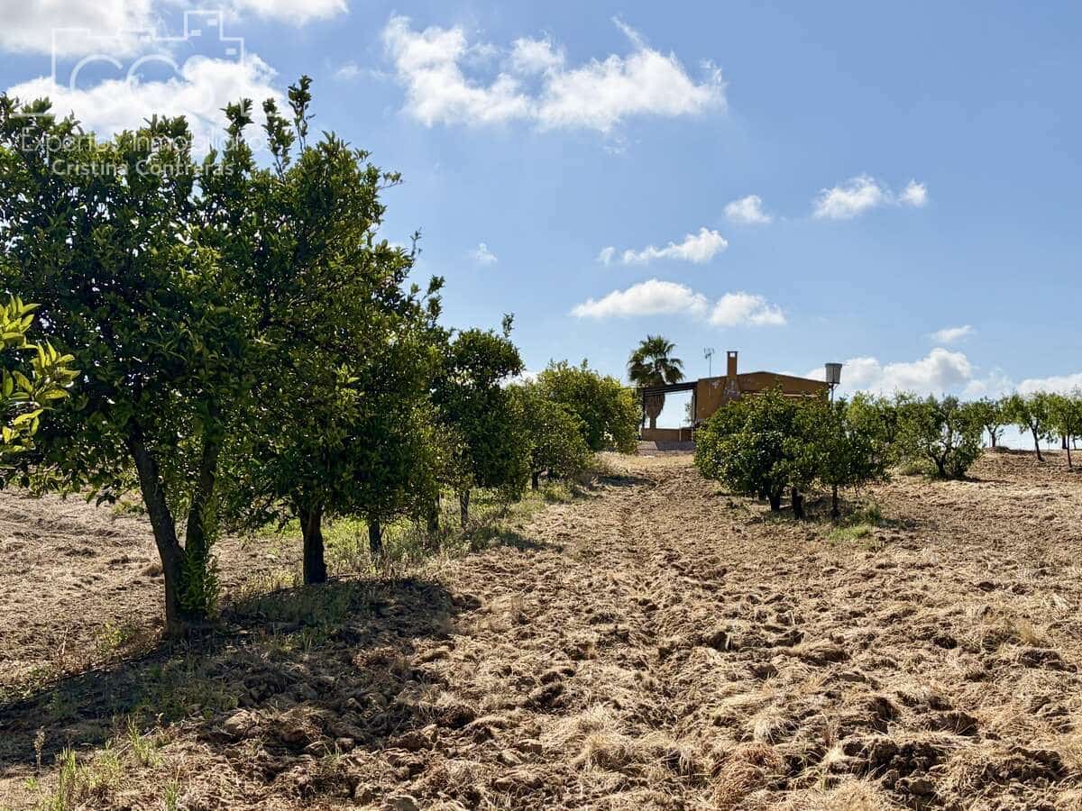 1 soverom Finca/Herregård til salgs i Almonte - € 180 000 (Ref: 9835059)