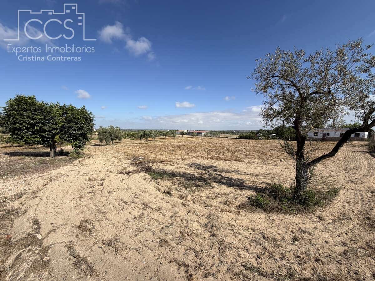 1 soverom Finca/Herregård til salgs i Almonte - € 180 000 (Ref: 9835059)