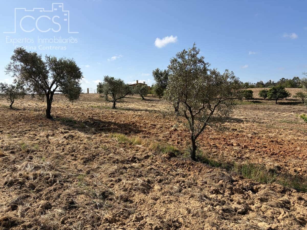 1 soverom Finca/Herregård til salgs i Almonte - € 180 000 (Ref: 9835059)