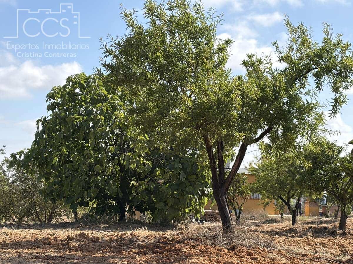 1 soverom Finca/Herregård til salgs i Almonte - € 180 000 (Ref: 9835059)