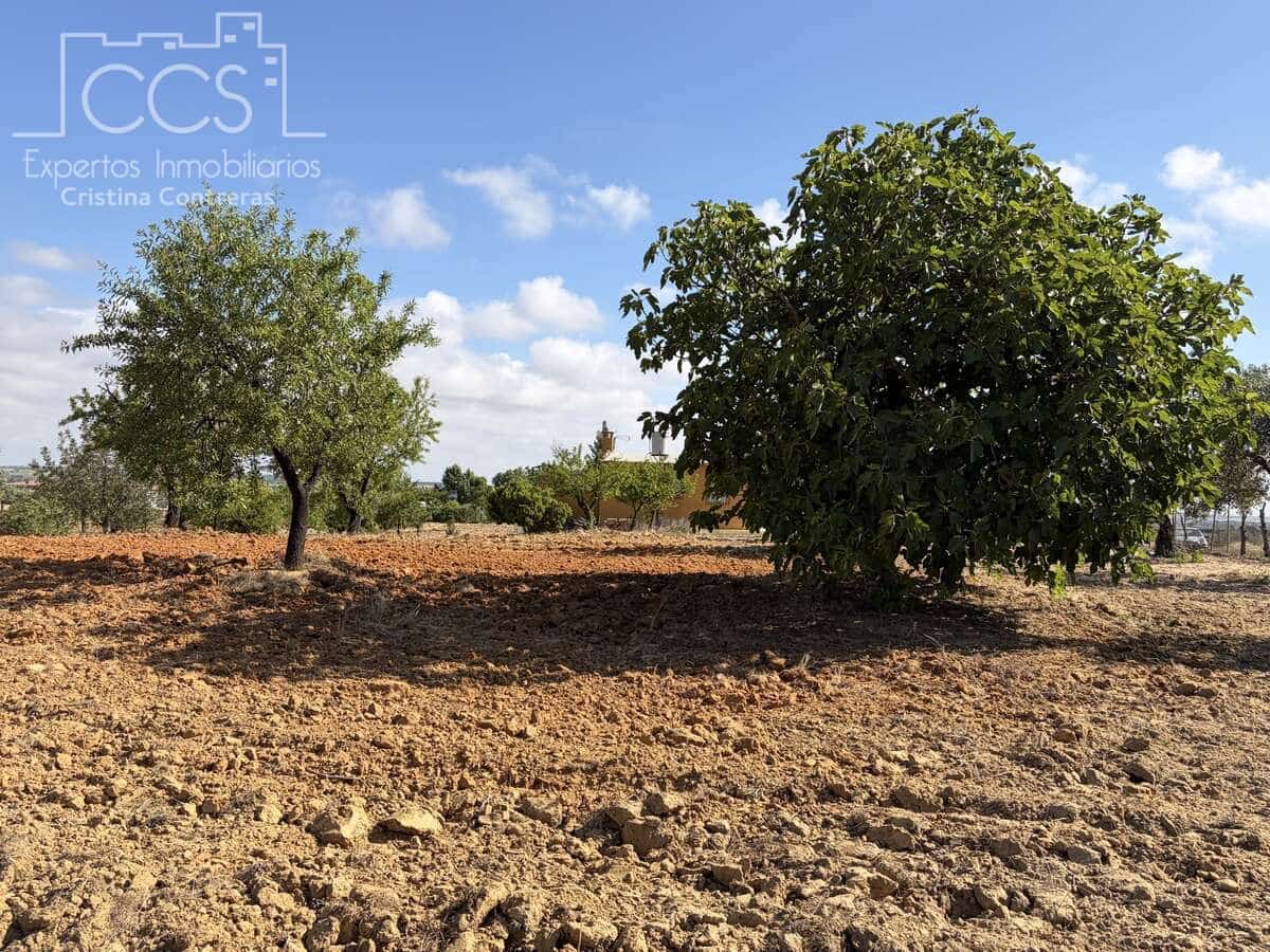 1 soverom Finca/Herregård til salgs i Almonte - € 180 000 (Ref: 9835059)
