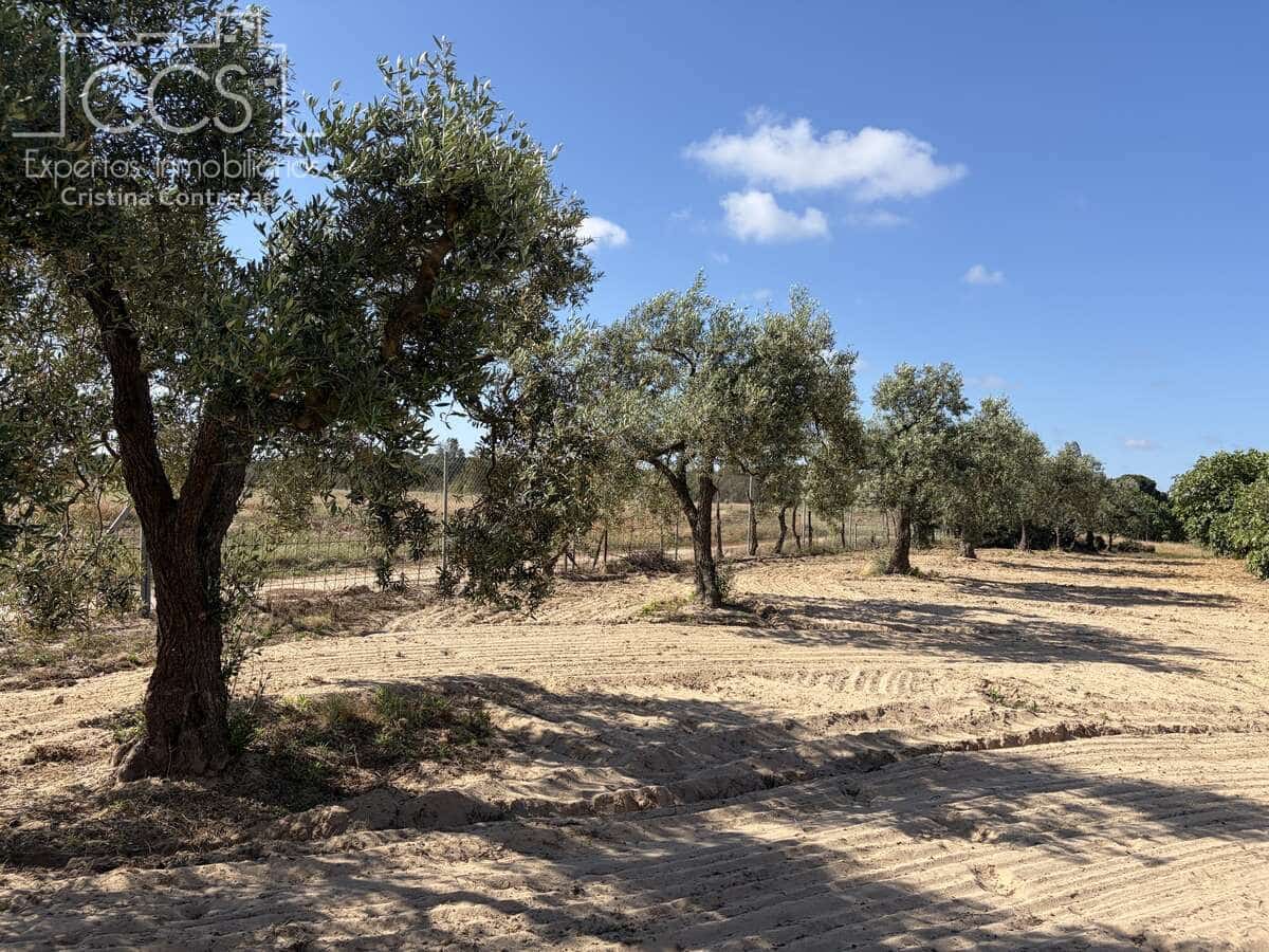 1 soverom Finca/Herregård til salgs i Almonte - € 180 000 (Ref: 9835059)