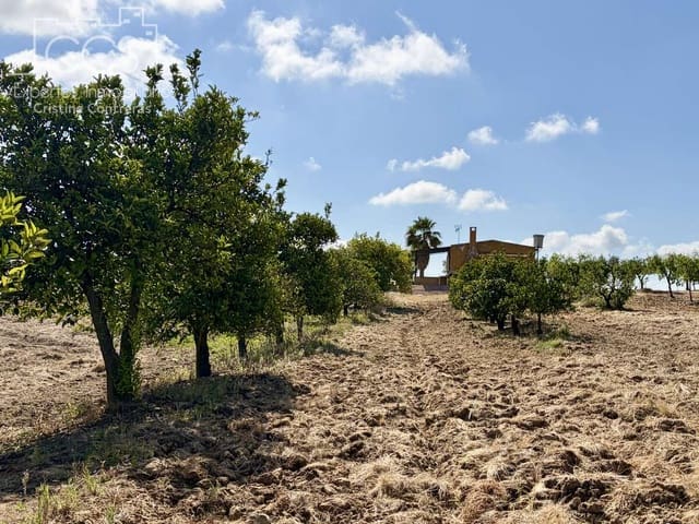 1 soverom Finca/Herregård til salgs i Almonte - € 180 000 (Ref: 9835059)