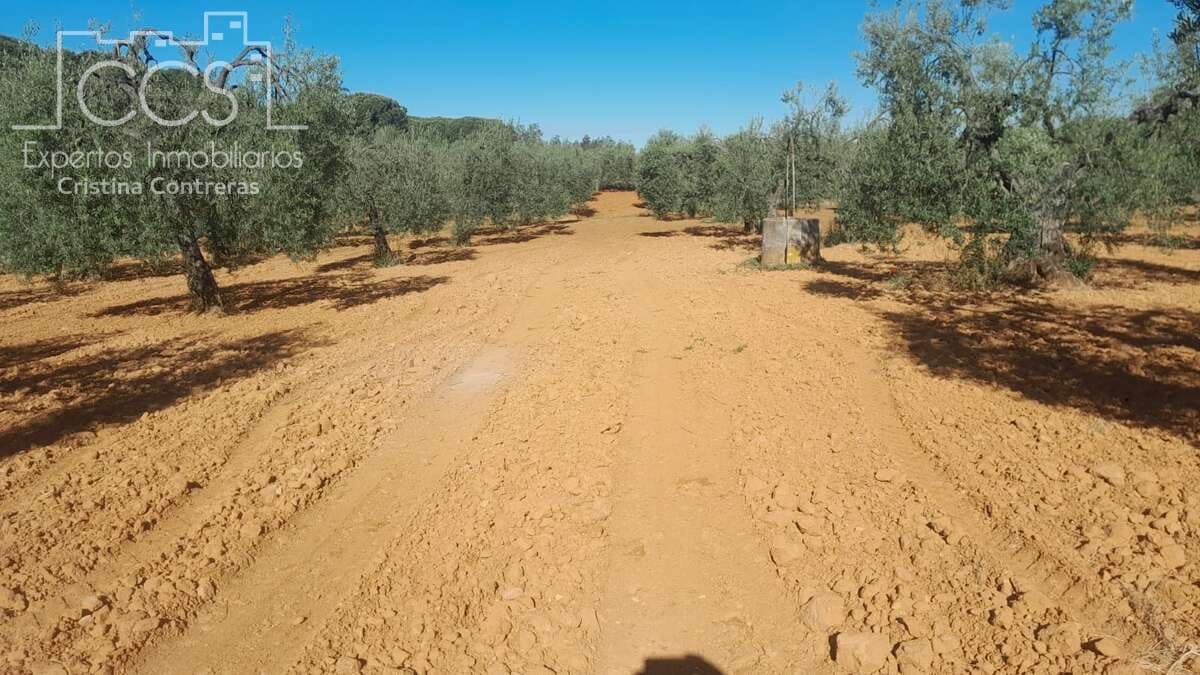 Building Plot for sale in Almonte - € 52,000 (Ref: 9848907)