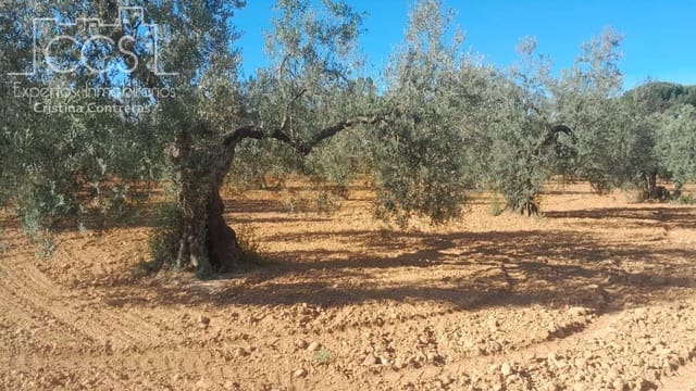 Terrain à Bâtir à vendre à Almonte - 52 000 € (Ref: 9848907)