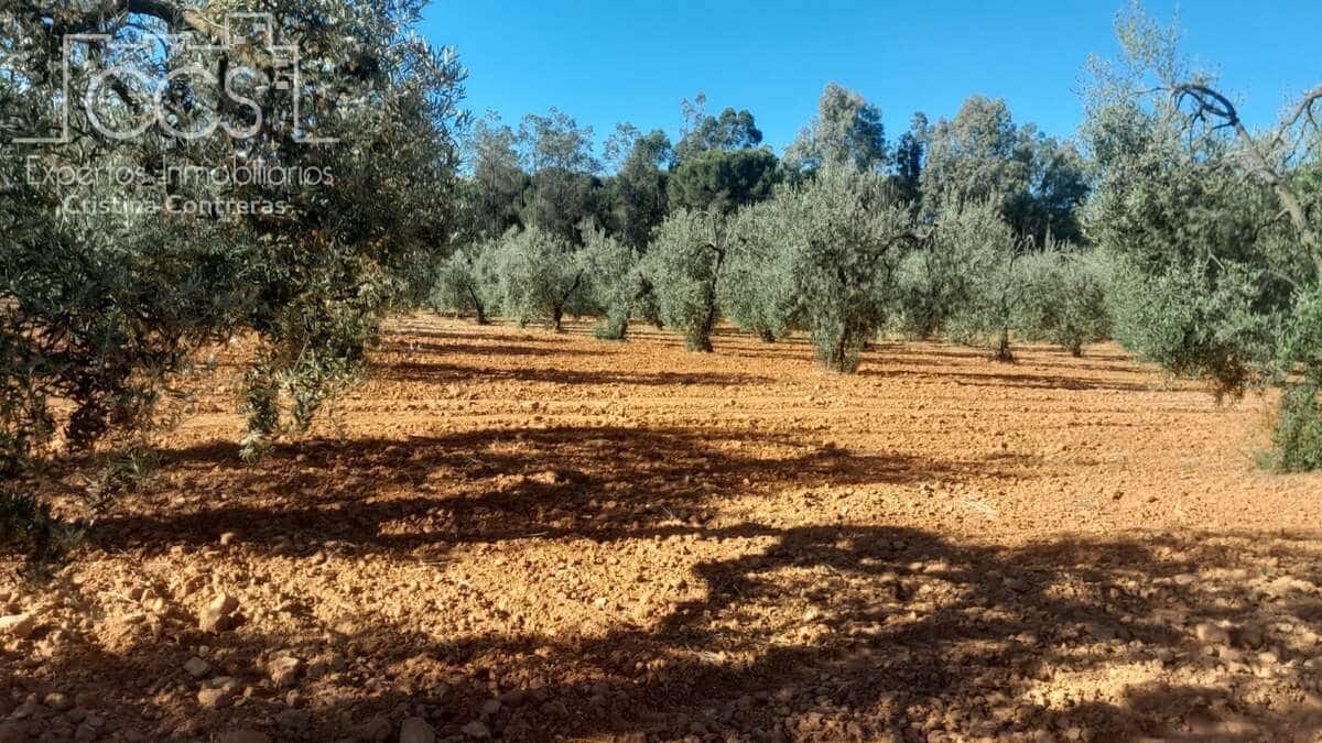 Building Plot for sale in Almonte - € 52,000 (Ref: 9848907)