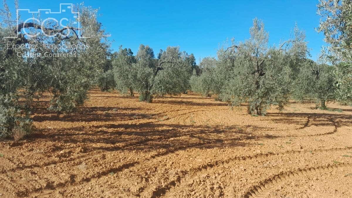 Building Plot for sale in Almonte - € 52,000 (Ref: 9848907)
