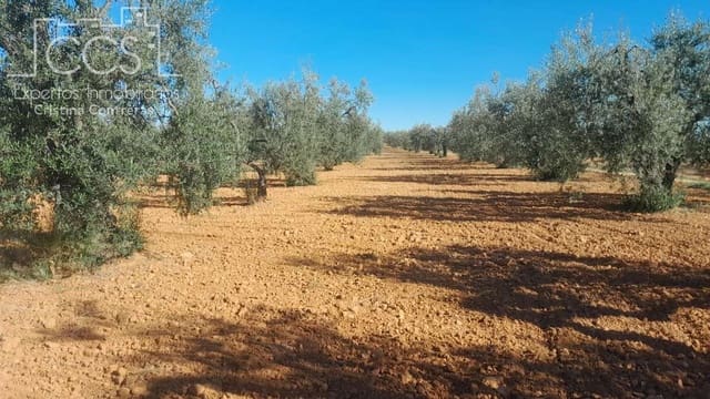 Terrain à Bâtir à vendre à Almonte - 52 000 € (Ref: 9848907)