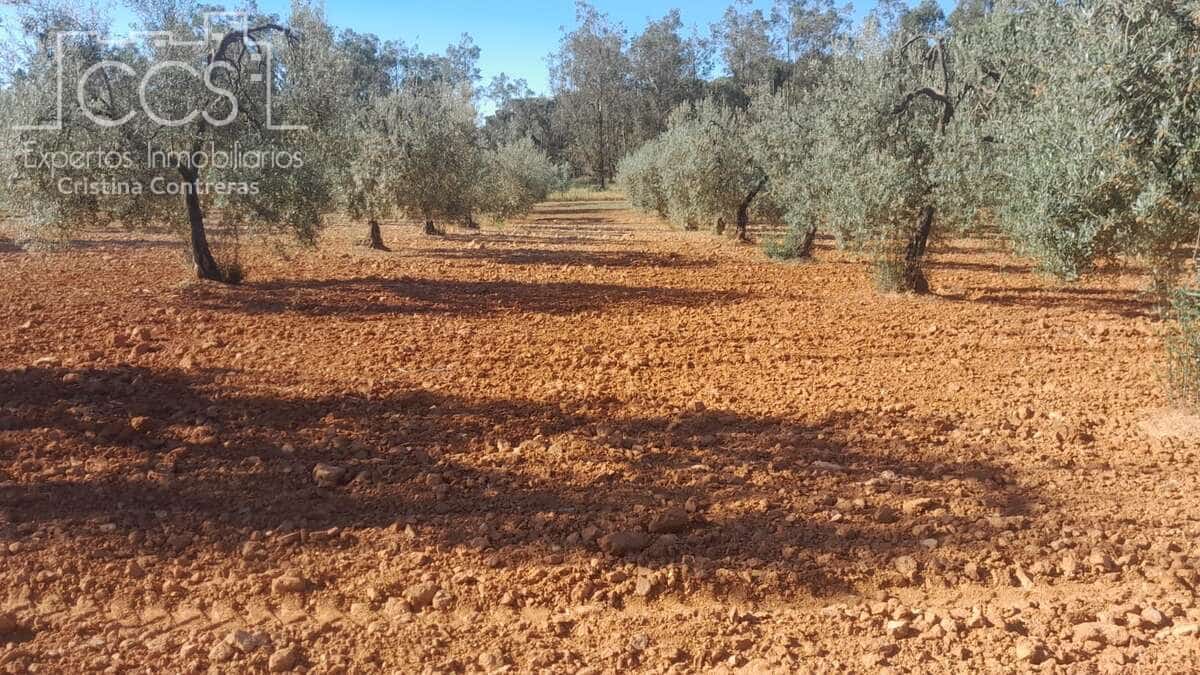 Building Plot for sale in Almonte - € 52,000 (Ref: 9848907)