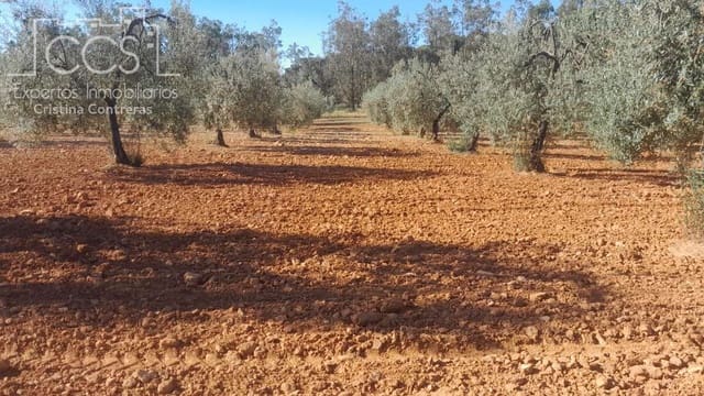 Terrain à Bâtir à vendre à Almonte - 52 000 € (Ref: 9848907)