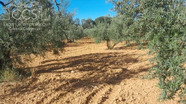 Terrain à Bâtir à vendre à Almonte - 52 000 € (Ref: 9848907)