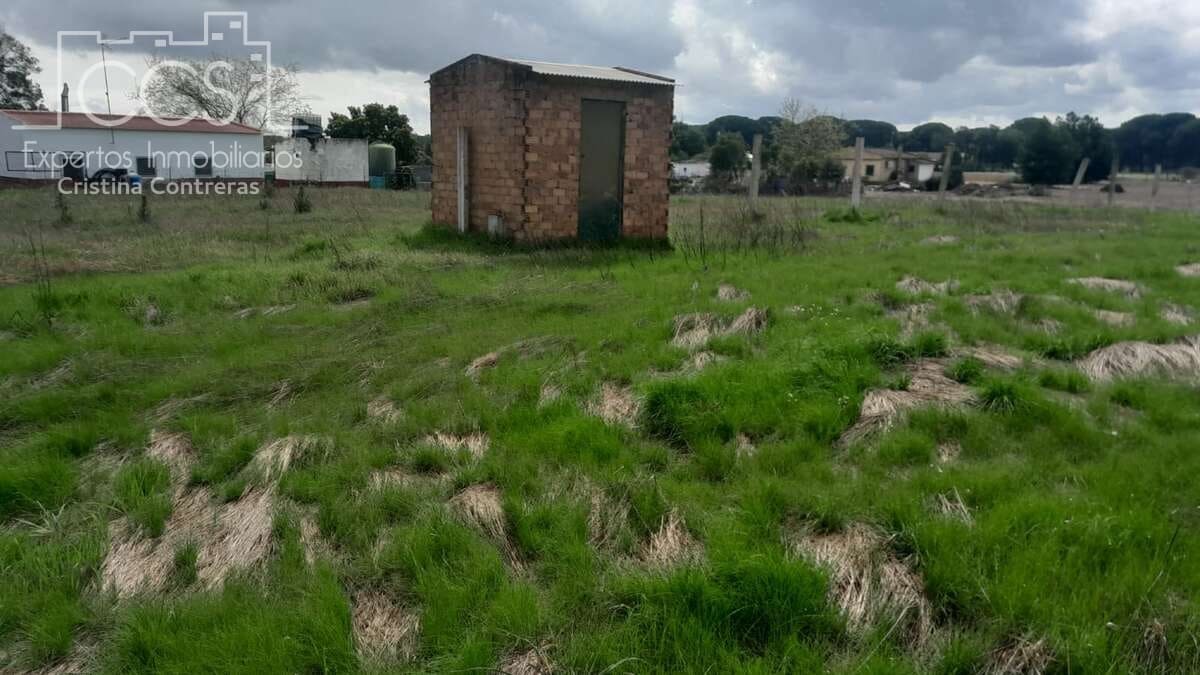 Bouwgrond te koop in Almonte - € 14.500 (Ref: 9848908)
