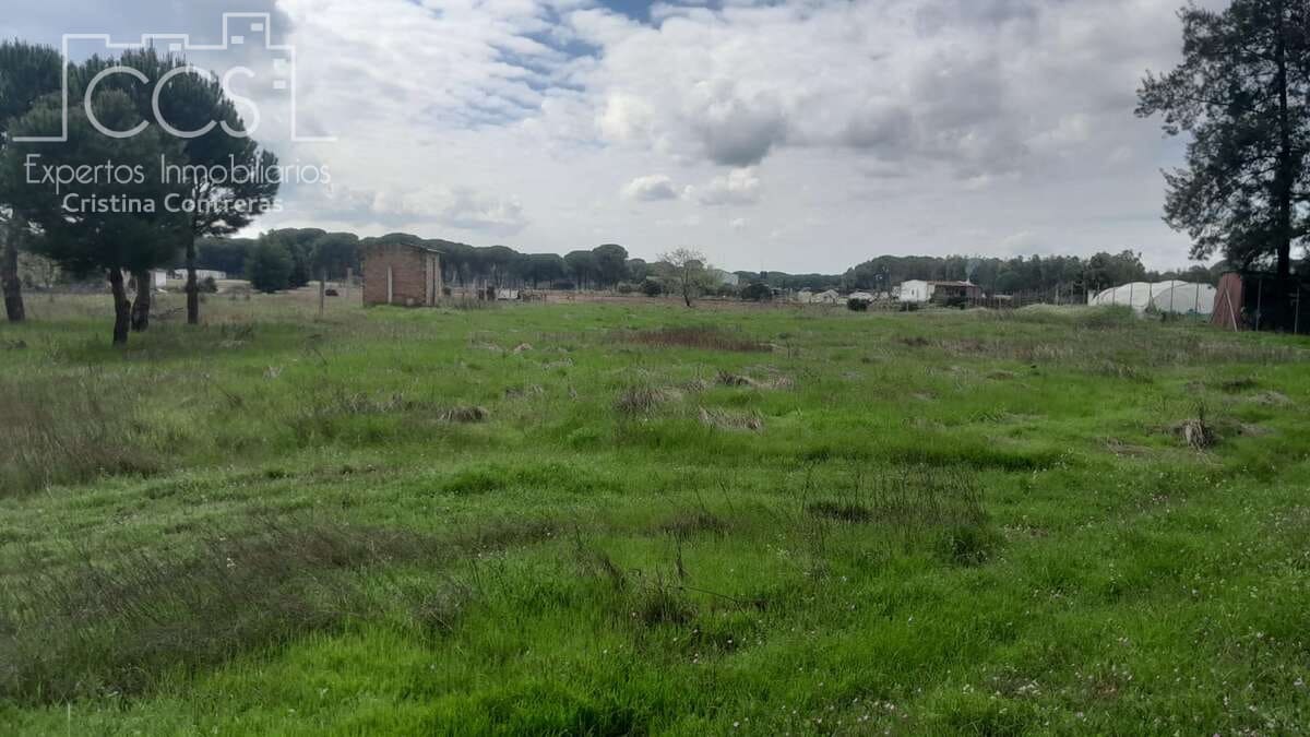 Bouwgrond te koop in Almonte - € 14.500 (Ref: 9848908)