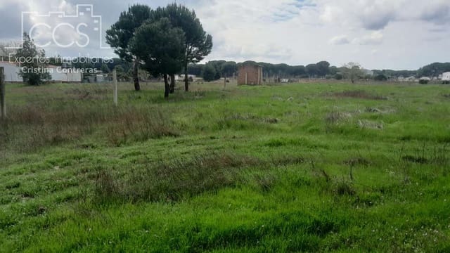 Bouwgrond te koop in Almonte - € 14.500 (Ref: 9848908)