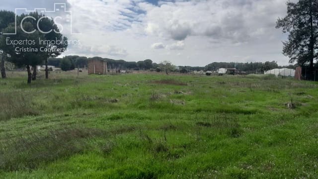 Bouwgrond te koop in Almonte - € 14.500 (Ref: 9848908)