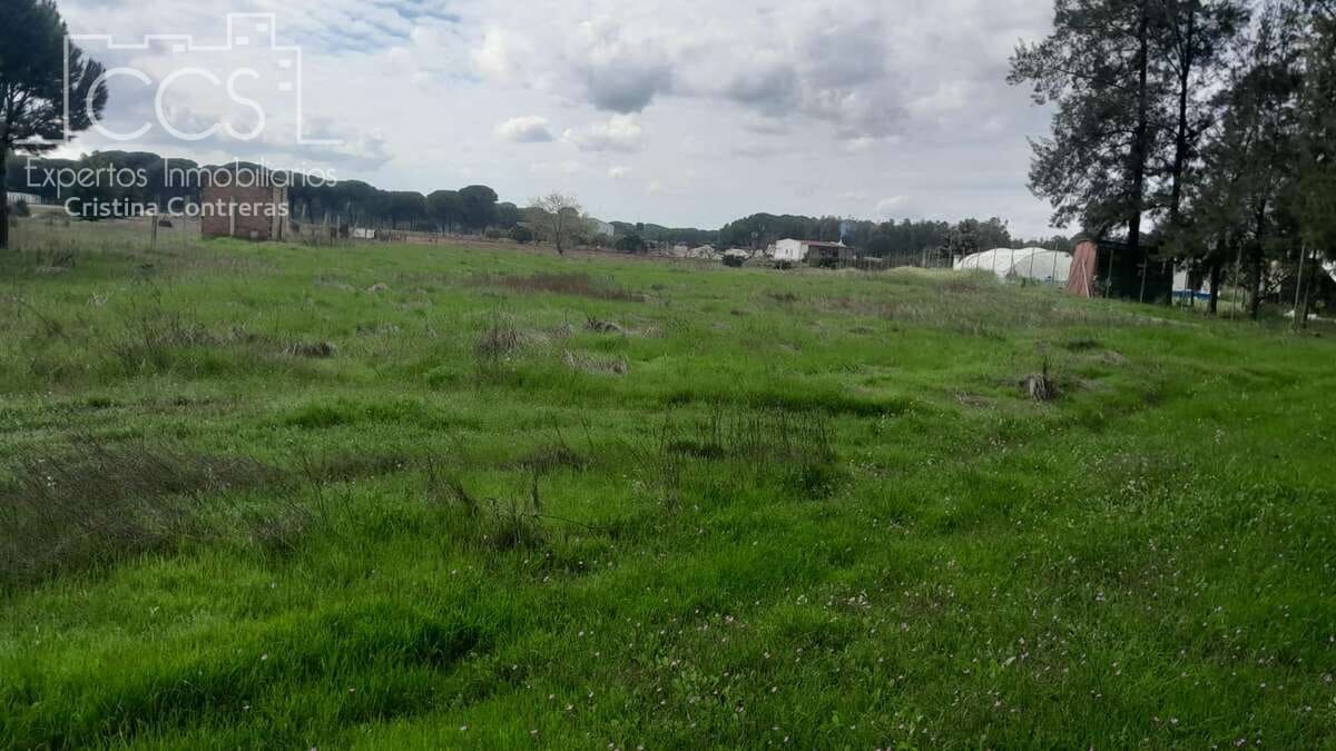 Bouwgrond te koop in Almonte - € 14.500 (Ref: 9848908)