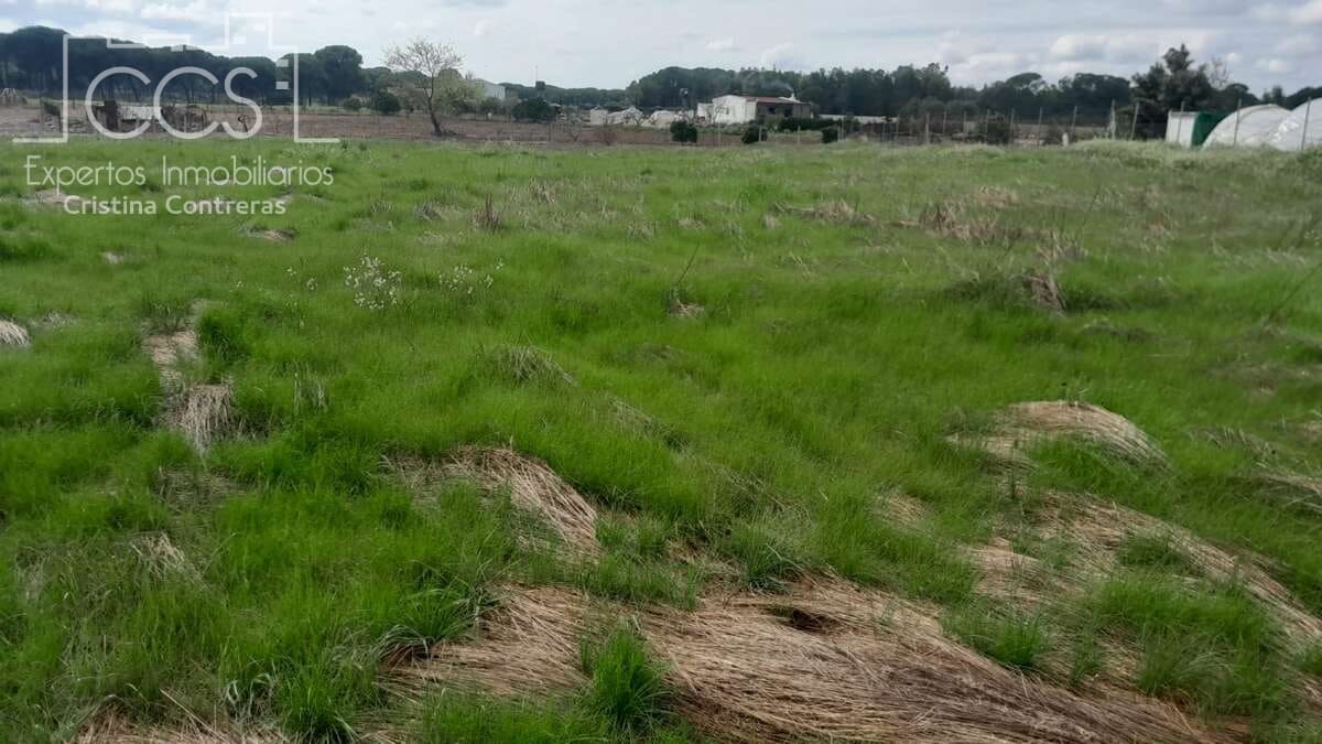 Bouwgrond te koop in Almonte - € 14.500 (Ref: 9848908)