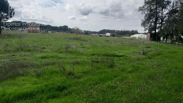 Bouwgrond te koop in Almonte - € 14.500 (Ref: 9848908)
