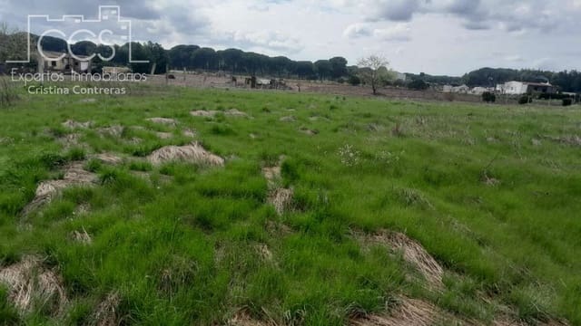 Bouwgrond te koop in Almonte - € 14.500 (Ref: 9848908)