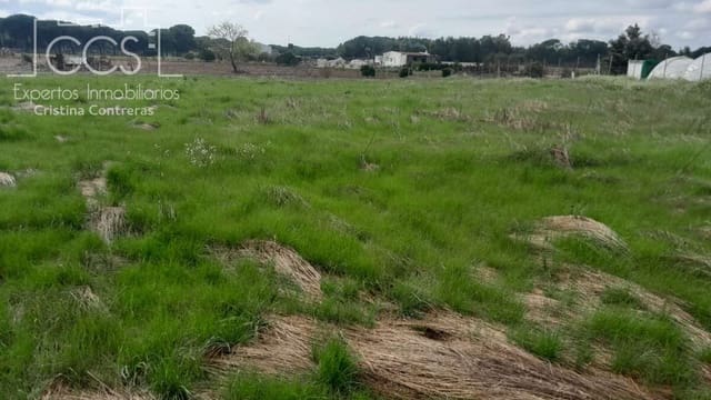 Bouwgrond te koop in Almonte - € 14.500 (Ref: 9848908)