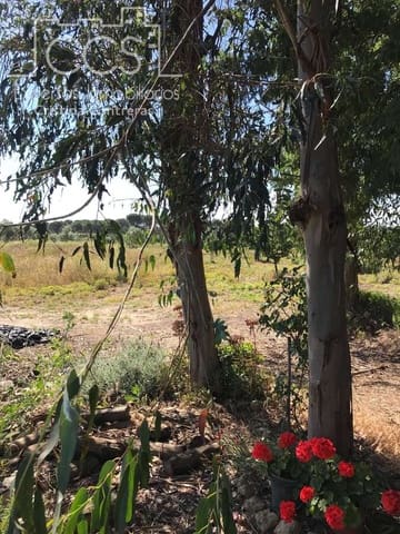 Byggegrund til salg i Almonte - € 52.000 (Ref: 9872858)