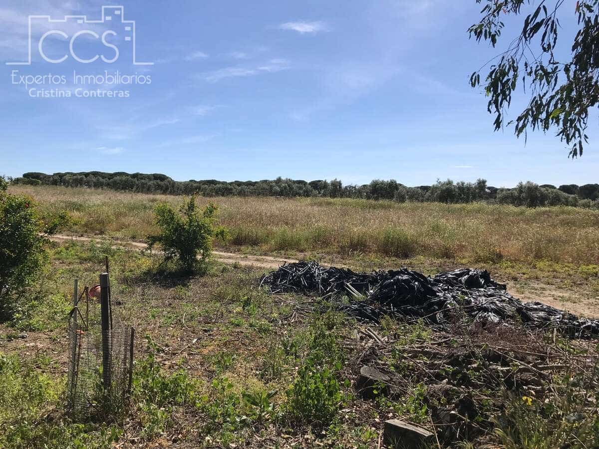 Tomt till salu i Almonte - 52 000 € (Ref: 9872858)