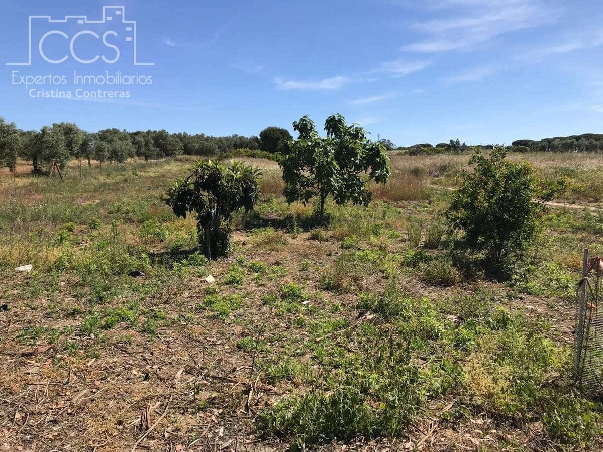 Tomt till salu i Almonte - 52 000 € (Ref: 9872858)