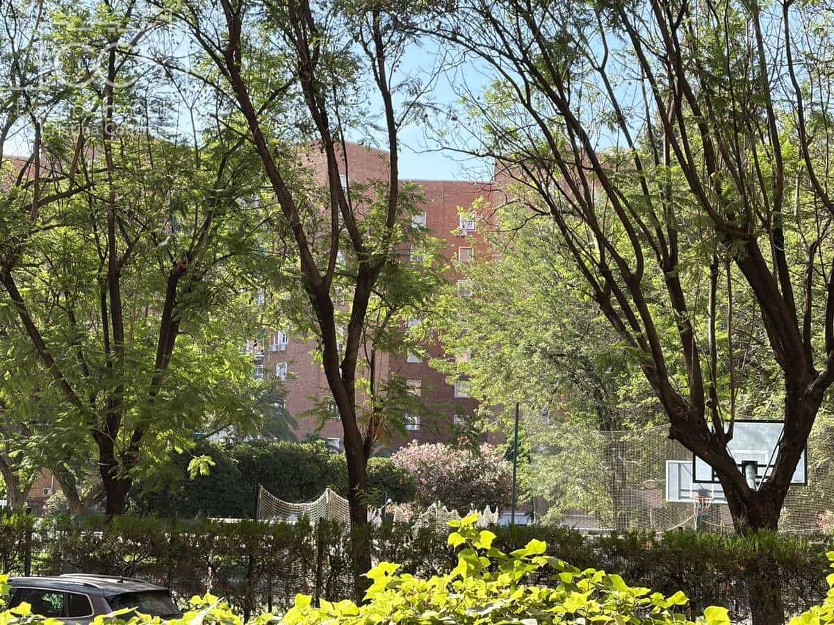 3 bedroom Flat for sale in Seville city - € 415,000 (Ref: 9919207)