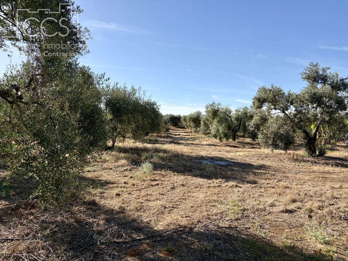 3 soveværelse Finca/Landehus til salg i Pilas med swimmingpool - € 180.000 (Ref: 9935410)