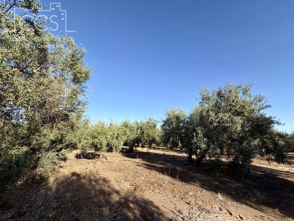 3 soveværelse Finca/Landehus til salg i Pilas med swimmingpool - € 180.000 (Ref: 9935410)