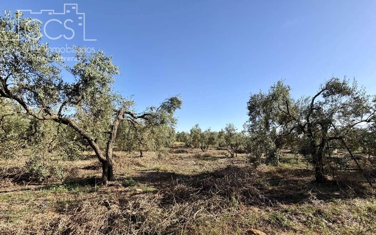 3 soveværelse Finca/Landehus til salg i Pilas med swimmingpool - € 180.000 (Ref: 9935410)