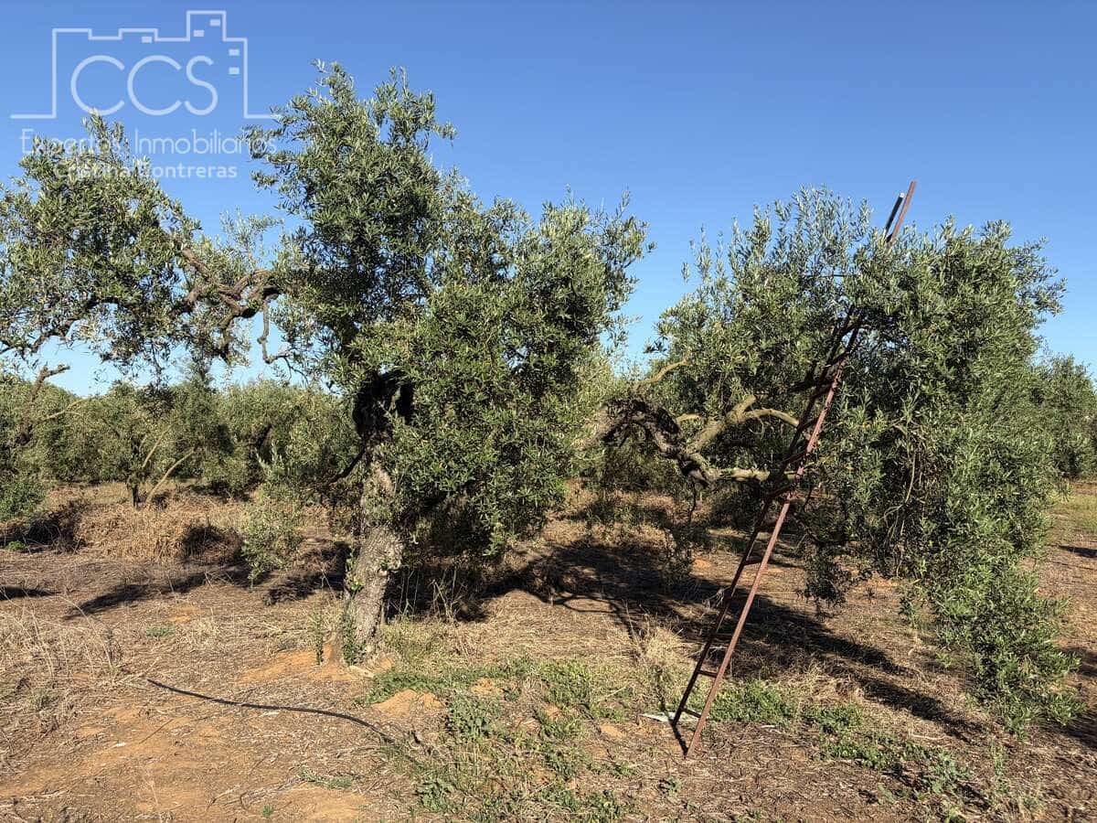 3 soveværelse Finca/Landehus til salg i Pilas med swimmingpool - € 180.000 (Ref: 9935410)