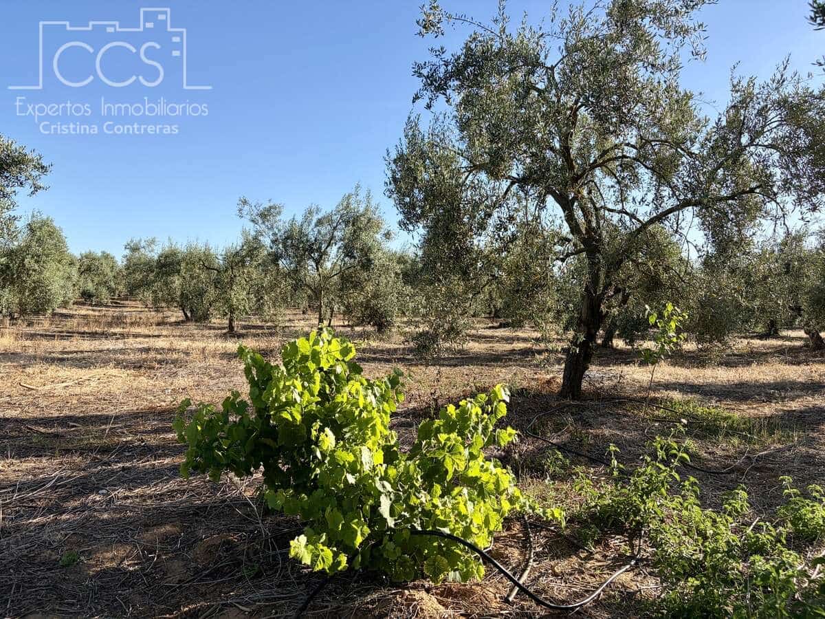 3 soveværelse Finca/Landehus til salg i Pilas med swimmingpool - € 180.000 (Ref: 9935410)