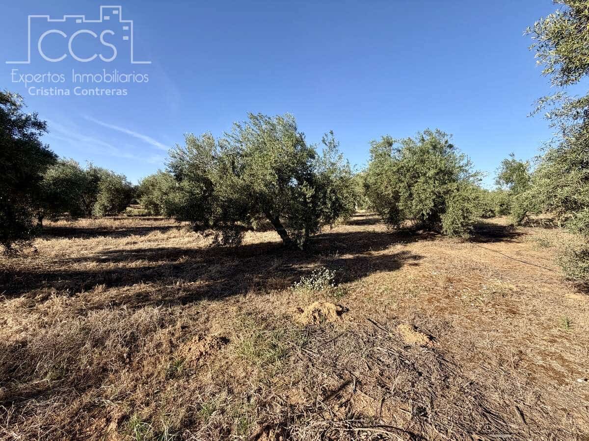 3 soveværelse Finca/Landehus til salg i Pilas med swimmingpool - € 180.000 (Ref: 9935410)