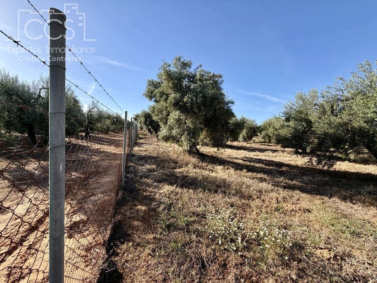 3 soveværelse Finca/Landehus til salg i Pilas med swimmingpool - € 180.000 (Ref: 9935410)