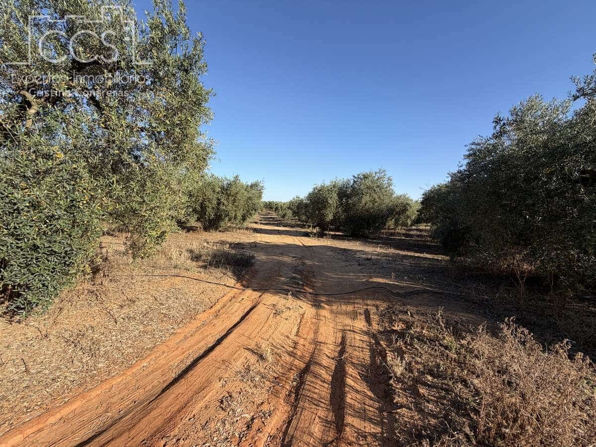3 soveværelse Finca/Landehus til salg i Pilas med swimmingpool - € 180.000 (Ref: 9935410)