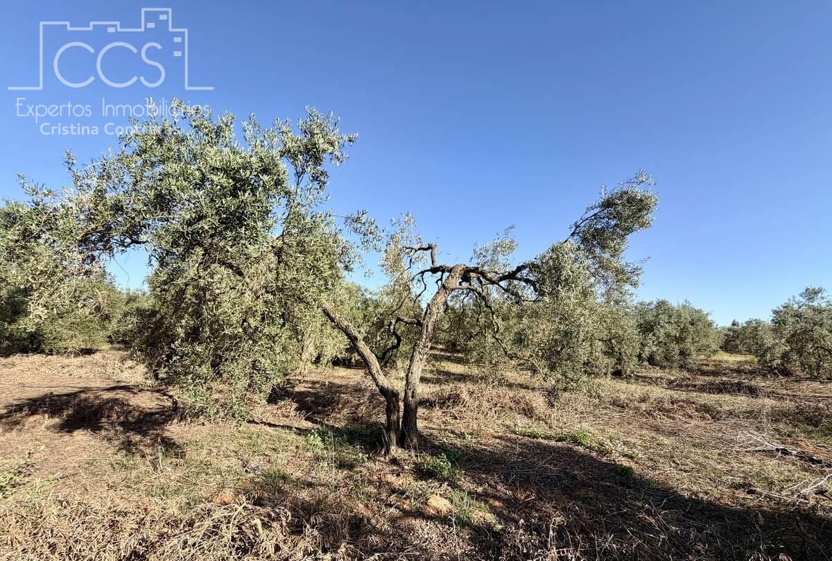 3 soveværelse Finca/Landehus til salg i Pilas med swimmingpool - € 180.000 (Ref: 9935410)