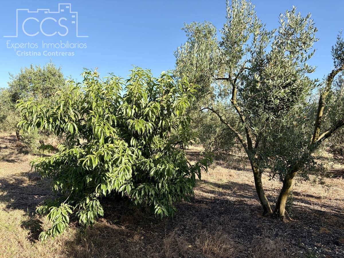 3 soveværelse Finca/Landehus til salg i Pilas med swimmingpool - € 180.000 (Ref: 9935410)