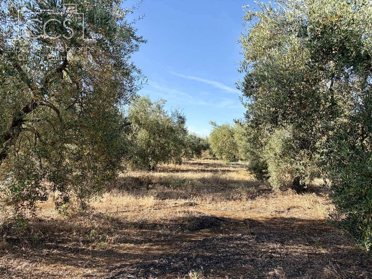 3 soveværelse Finca/Landehus til salg i Pilas med swimmingpool - € 180.000 (Ref: 9935410)