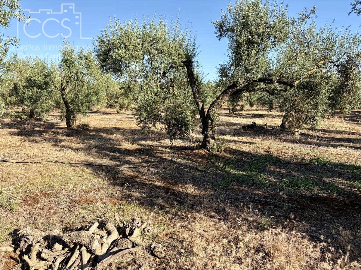 3 soveværelse Finca/Landehus til salg i Pilas med swimmingpool - € 180.000 (Ref: 9935410)